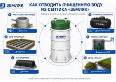 Зорде Рейн 4 Лонг